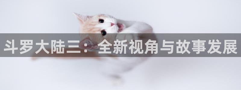 禁漫天堂1.：斗罗大陆三：全新视角与故事发展