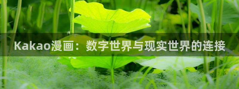 禁漫天堂18.comic：Kakao漫画：数字世界与现实世界的连接