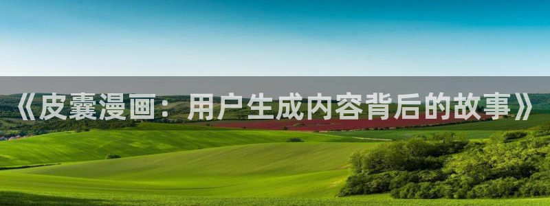 禁漫天堂/：《皮囊漫画：用户生成内容背后的故事》